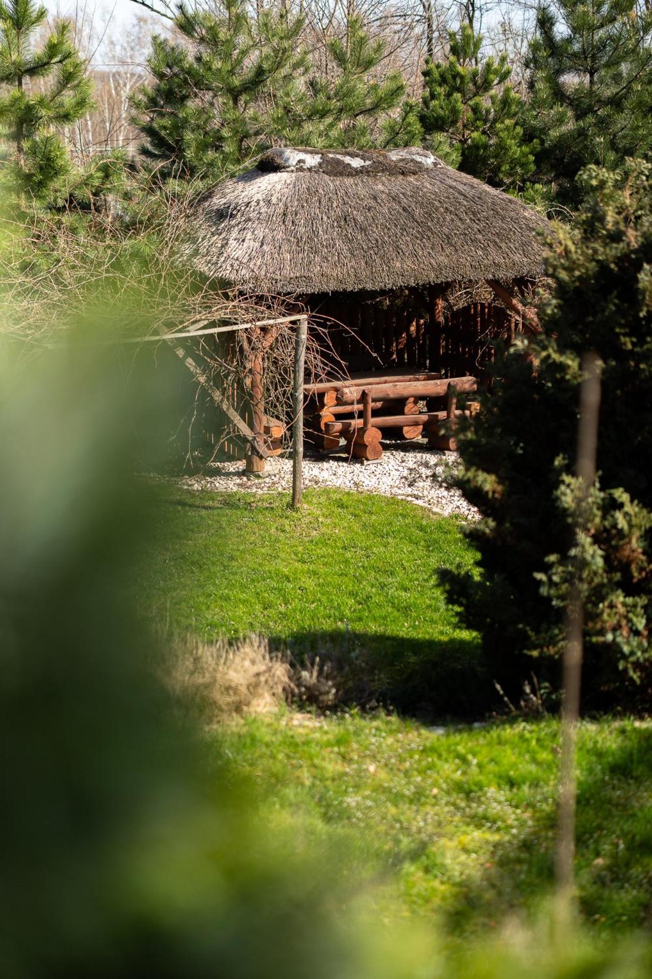 Villa Sinaloa-Spa Ruda Slaska Extérieur photo